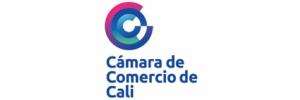 Proyecto nuevo (55)